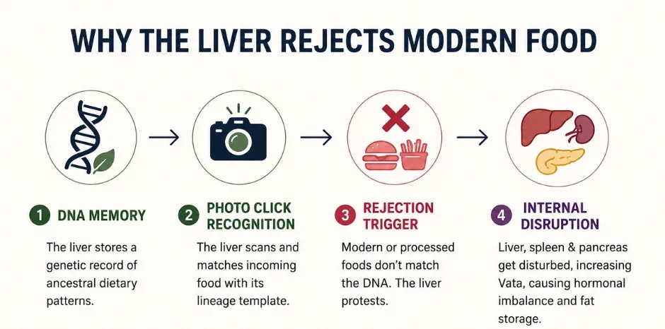 How AstroVastu Alignment Impacts Liver Health and Digestion